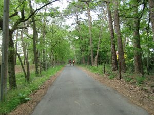 RTF Bremen 2011 032